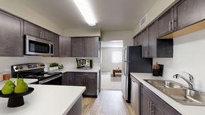 Leadville apartment for rent - A kitchen with a black refrigerator and a white counter top.