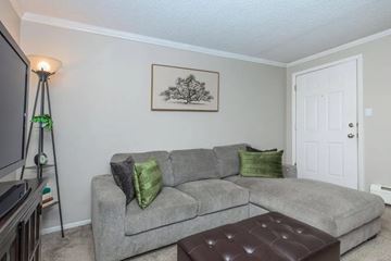 Denver apartment for rent - A grey couch with green pillows sits in a living room with a painting on the wall.