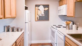 Arvada apartment for rent - Arvada Flats