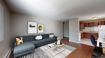 Denver apartment for rent - A living room with a grey couch and a striped rug.