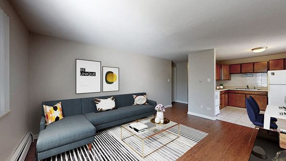 Denver apartment for rent - A living room with a grey couch and a striped rug.