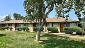 Wheat Ridge apartment for rent - A tree in front of a building with a brown roof.