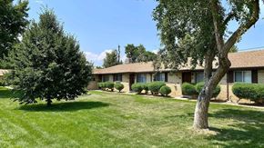 Wheat Ridge apartment for rent - A tree stands in front of a building with a lawn in the foreground.