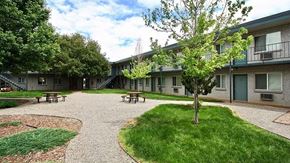 Lakewood apartment for rent - A courtyard with a tree and benches surrounded by apartment buildings.
