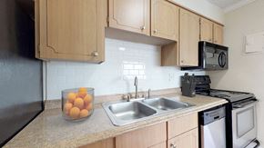 Englewood apartment for rent - A kitchen with a black refrigerator, a black microwave, a black oven, and a black dishwasher.