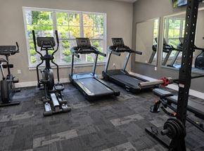 Brimfield apartment for rent - A gym with treadmills, elliptical machines, and weightlifting equipment.