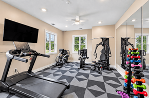 Strongsville apartment for rent - A spacious home gym with a treadmill, exercise bike, and a variety of weights.