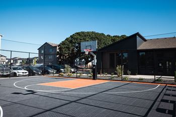 Basket ball court