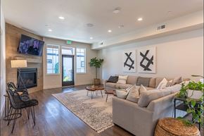 Albany apartment for rent - A living room with a grey couch, a television, and a rug at Timberridge Place Apartment Homes, Albany