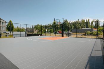 Basketball court