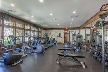Well-equipped gym
