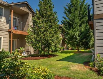Lush green lawn area