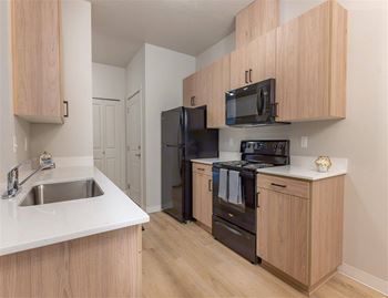 Kitchen with black appliances