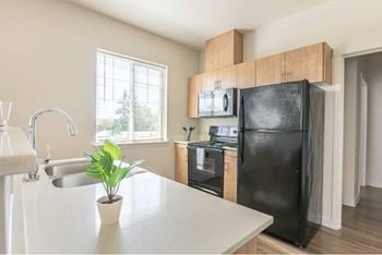 All black appliances
