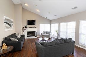 Lafayette apartment for rent - A living room with a fireplace and a television.