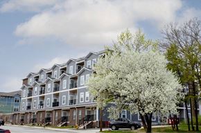 West Lafayette apartment for rent - Front of building and large tree with flowers