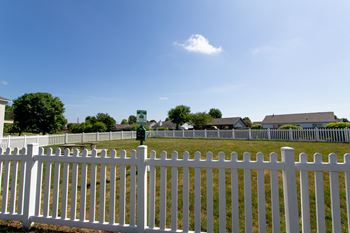 Pet park
