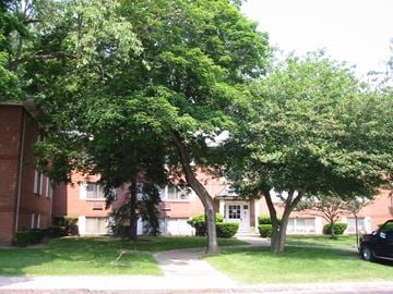 Rochester apartment for rent - a tree in a yard in front of a brick building