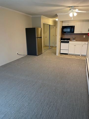St. Paul apartment for rent - A black refrigerator in a kitchen with white cabinets and a microwave.