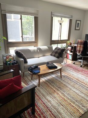 Minneapolis apartment for rent - A living room with a couch, a table, and a rug.