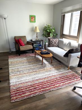 Minneapolis apartment for rent - A living room with a grey couch, a brown chair, and a rug.