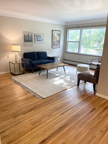 Saint Paul apartment for rent - A living room with a blue couch and a white rug.