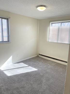 Fridley apartment for rent - A room with a carpeted floor, a window with blinds, and a light on the ceiling.
