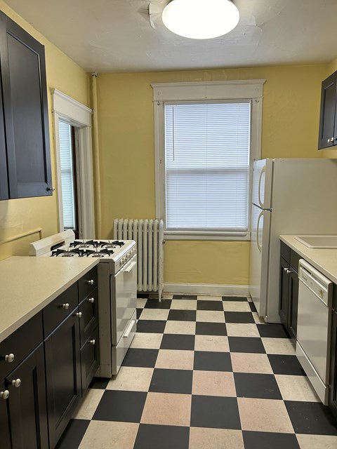 Floor plan for 1 bed, 1 bath