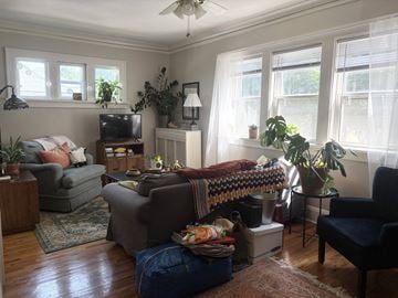 Saint Paul apartment for rent - A living room with a grey couch, a brown chair, a bed with a blanket and pillows, a television, a potted plant, and a rug.