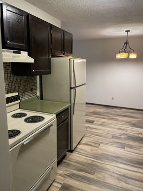 Fridley apartment for rent - .