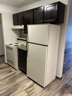 Fridley apartment for rent - .