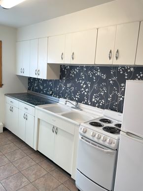 Saint Paul apartment for rent - Kitchen with designer backsplash.