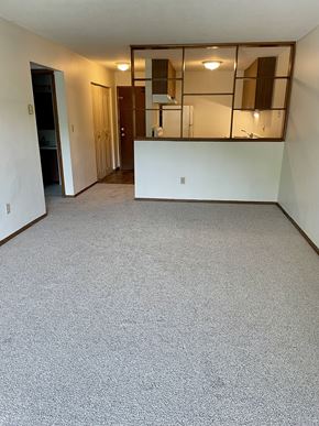 St. Paul apartment for rent - A room with a carpeted floor and a white wall.
