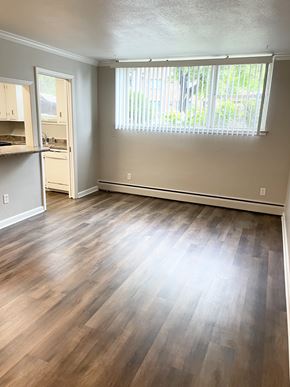 St. Paul apartment for rent - Large picture window.