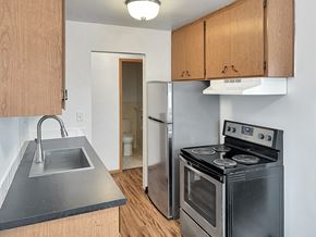 St. Paul apartment for rent - A kitchen with a stove, sink, and cabinets.