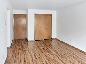 St. Paul apartment for rent - A room with two wooden doors and wooden flooring.