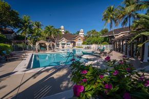 Miami apartment for rent - A pool surrounded by palm trees and flowers.