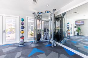 Biloxi apartment for rent - A gym with a variety of equipment including a treadmill, weights, and a stationary bike.