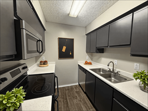 Chattanooga apartment for rent - A kitchen with black cabinets and a white countertop.