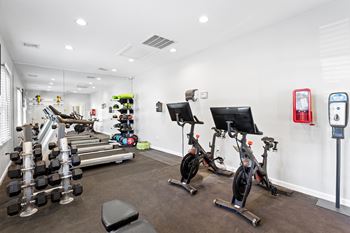 A gym with a row of stationary bikes, dumbbells, and exercise equipment