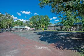 North Charleston apartment for rent - A basketball court is surrounded by trees and buildings at Brackenbrook Apartments, North Charleston, SC, 29418