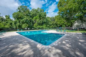 Summerville apartment for rent - A large outdoor swimming pool surrounded by trees at Sawbranch Apartments, South Carolina, 29485
