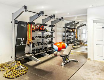 A home gym with a weight rack, dumbbells, and exercise balls.