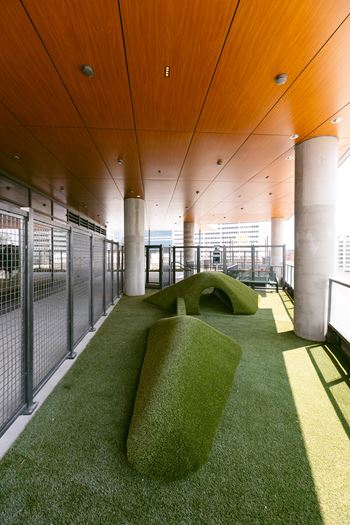 Rooftop dog park