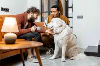 Pet-friendly community