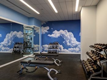 Gym with fitness equipments