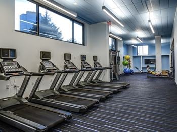 Gym with treadmills