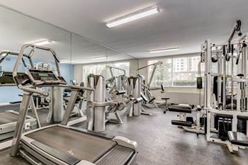 Gym with variety of modern equipments