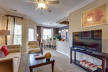 Alexandria apartment for rent - A living room with a television, a couch, a chair, a coffee table, and a painting on the wall.