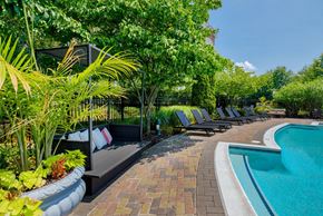 Alexandria apartment for rent - Swimming pool at Park Place at Van Dorn Apartments, Alexandria, Virginia